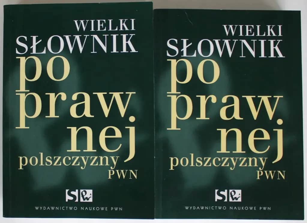 Nowy Słownik Poprawnej Polszczyzny PWN: Czy to biblia dla Ciebie?