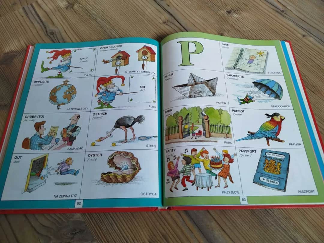 Wybierz najlepszy ilustrowany słownik polskiego dla dziecka i wzrokowca